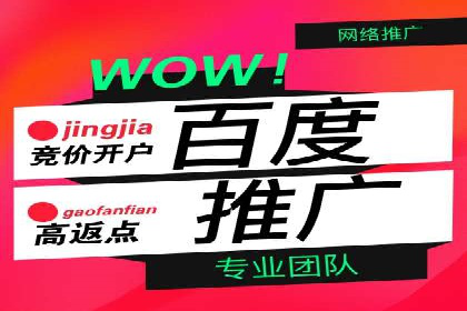 SEM运营公司案例解析：数据分析与优化